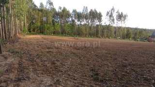 Land for sale in Oliveira de Azeméis, Portugal — €70,500