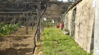 Land for sale in Oliveira de Azeméis, Portugal — €40,000