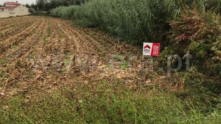 Land for sale in Albergaria-a-Velha, Portugal — €100,000