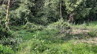 Terreno em Vila Nova de Gaia