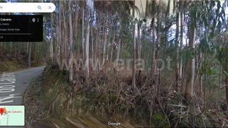 Land for sale in Sever do Vouga, Portugal — €25,000