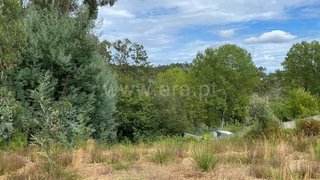 Land for sale in Albergaria-a-Velha, Portugal