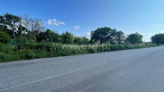 Land for sale in Sever do Vouga, Portugal — €90,000