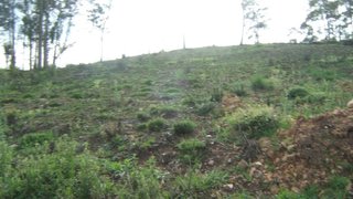 Land for sale in Santo Tirso, Portugal — €85,000