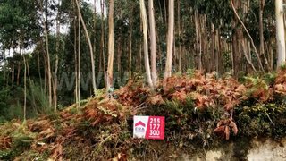 Land for sale in Paredes, Portugal — €378,000