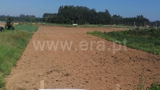 Land for sale in Estarreja, Portugal — €60,000