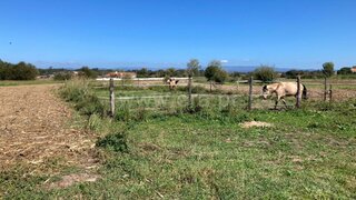 Land for sale in Estarreja, Portugal — €10,000