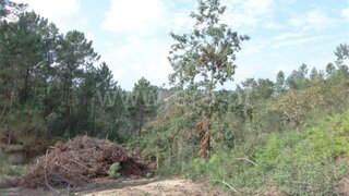 Land for sale in Amarante, Portugal — €56,500