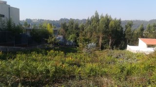 Land for sale in Oliveira de Azeméis, Portugal — €56,500