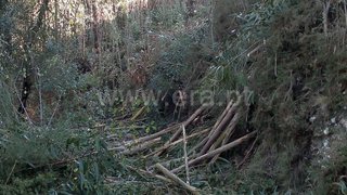 Land for sale in Gondomar, Portugal — €28,000