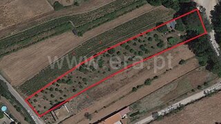Land for sale in Oliveira do Bairro, Portugal — €53,000