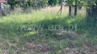 Land for sale in Oliveira de Azeméis, Portugal — €22,500