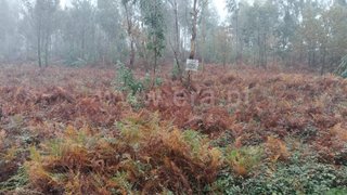 Land for sale in Paços de Ferreira, Portugal — €57,500