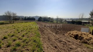 Land for sale in Estarreja, Portugal — €35,000