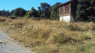 Land for sale in Oliveira de Azeméis, Portugal — €45,000