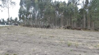 Land for sale in Santa Maria da Feira, Portugal — €58,000