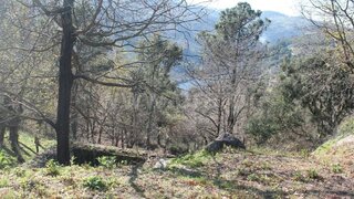 Land for sale in Marco de Canaveses, Portugal — €70,000