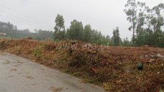 Land for sale in Oliveira de Azeméis, Portugal — €90,000