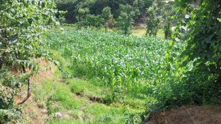 Land for sale in Amarante, Portugal — €27,500
