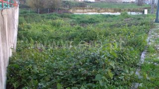 Land for sale in Ovar, Portugal — €400,000