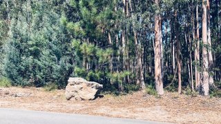 Land for sale in Águeda, Portugal — €93,000