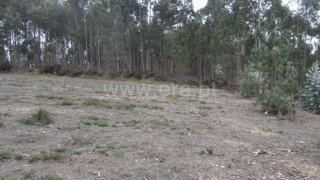 Land for sale in Santa Maria da Feira, Portugal — €58,000