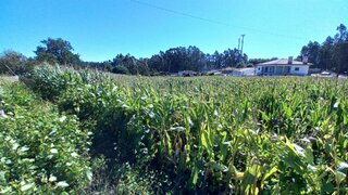 Land for sale in Ovar, Portugal — €95,000