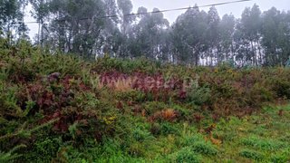 Land for sale in Amarante, Portugal — €89,000