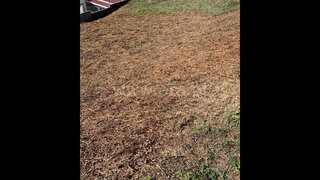 Land for sale in Águeda, Portugal