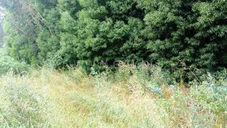 Land for sale in Gondomar, Portugal — €20,000
