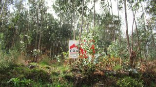 Land for sale in Albergaria-a-Velha, Portugal — €13,000
