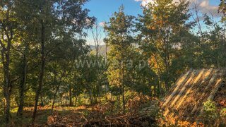 Land for sale in Amarante, Portugal — €27,500