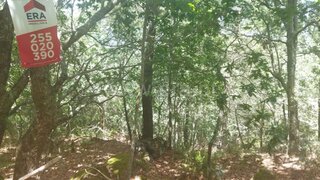 Land for sale in Baião, Portugal — €13,000