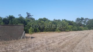 Terreno em Murtosa