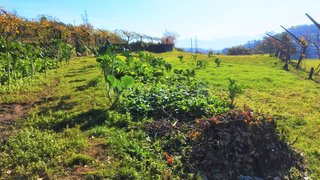 Land for sale in Baião, Portugal — €57,500