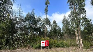 Land for sale in Albergaria-a-Velha, Portugal — €30,000