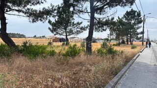 Land for sale in Ílhavo, Portugal — €69,500