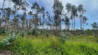 Land for sale in Águeda, Portugal