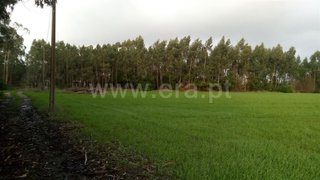 Land for sale in Murtosa, Portugal