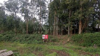 Land for sale in Oliveira de Azeméis, Portugal — €199,000