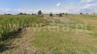 Land for sale in Estarreja, Portugal — €7,500