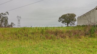 Land for sale in Albergaria-a-Velha, Portugal — €35,000