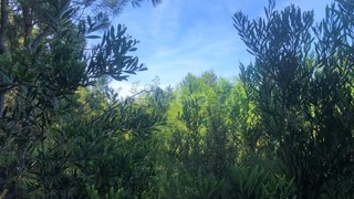 Land for sale in Águeda, Portugal — €67,000