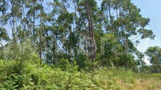 Land for sale in Oliveira de Azeméis, Portugal — €101,500