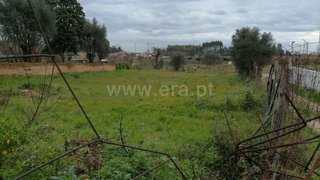 Land for sale in Anadia, Portugal — €42,000