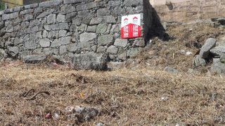 Land for sale in Maia, Portugal — €65,000