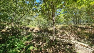 Land for sale in Amarante, Portugal — €70,000