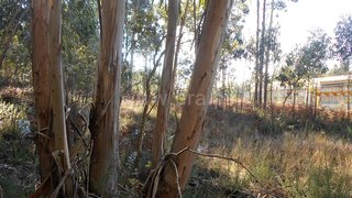 Land for sale in Santa Maria da Feira, Portugal — €150,000