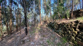 Land for sale in Amarante, Portugal — €12,500