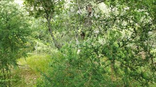 Land for sale in Baião, Portugal — €22,500